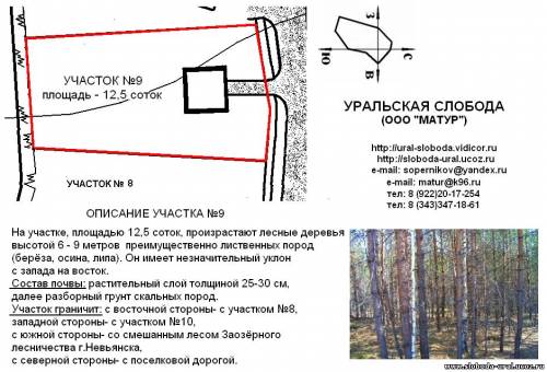 Уральская слобода-9